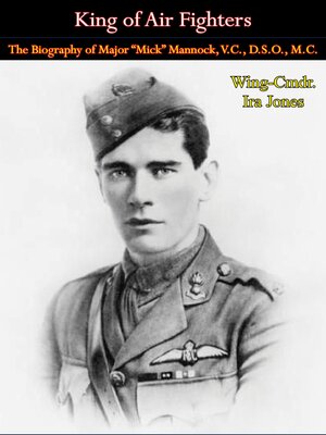 cover image of King of Air Fighters
